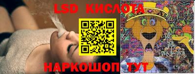 стаф Долгопрудный