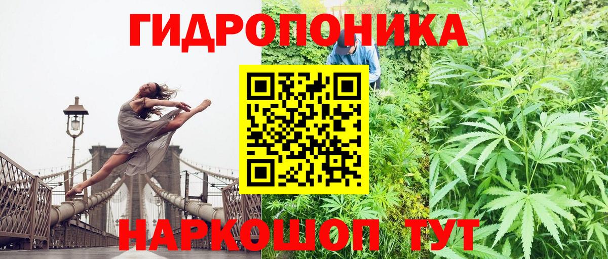 МАРИХУАНА планчик Россошь